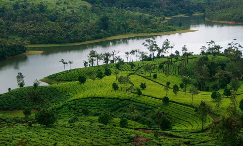 Kerala tour packages