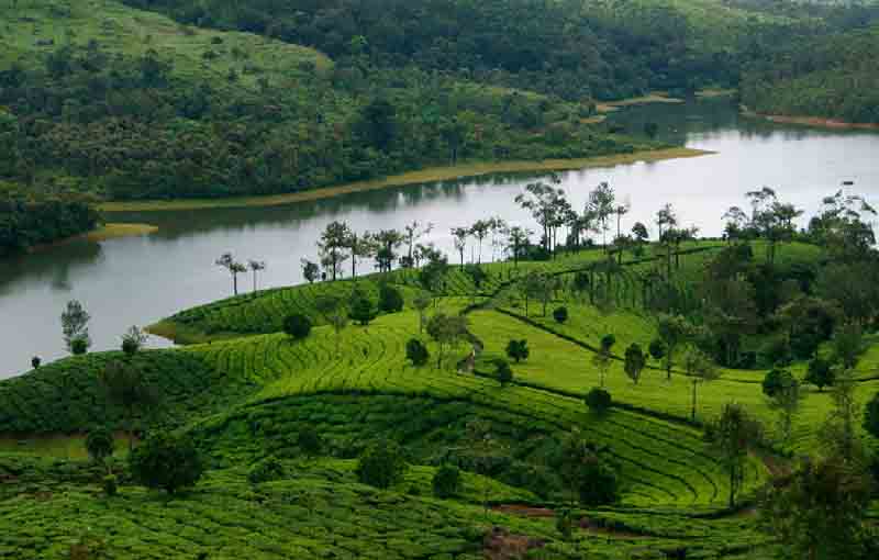 Kerala